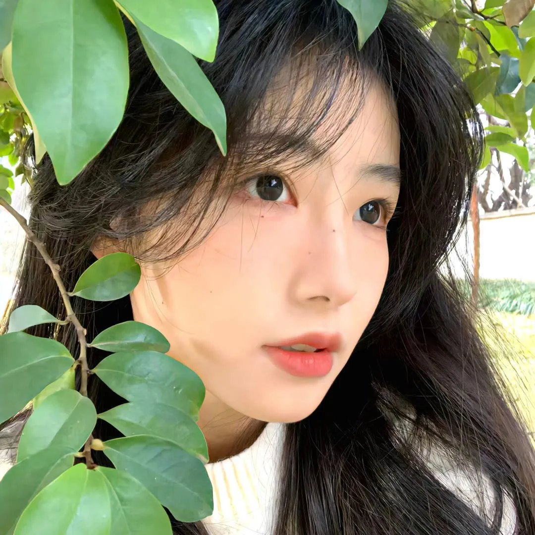 一周的偶像